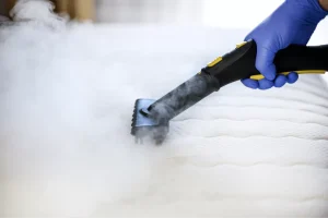 What Products Are Safe For Mattress Cleaning?